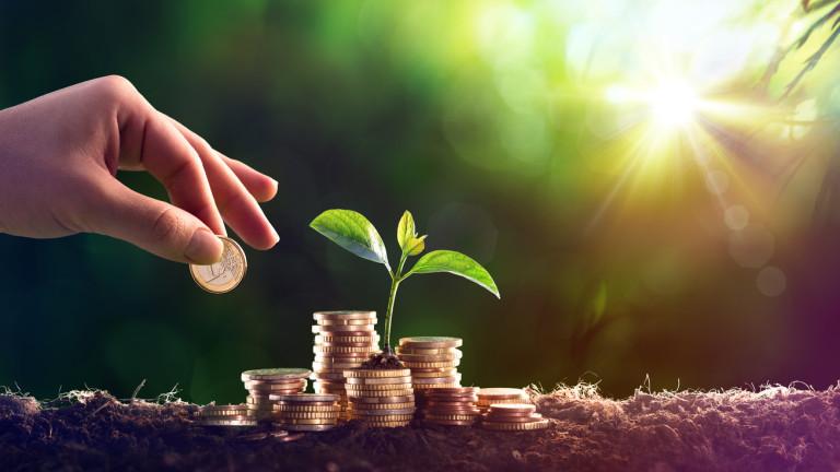 Growing Plant On Coins Money Investment Concept